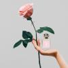 Hand holding a pink rose and a glass perfume bottle